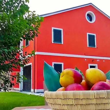 Rossococomero Sirolo