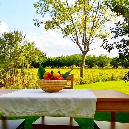 Rossococomero Séjour à la ferme