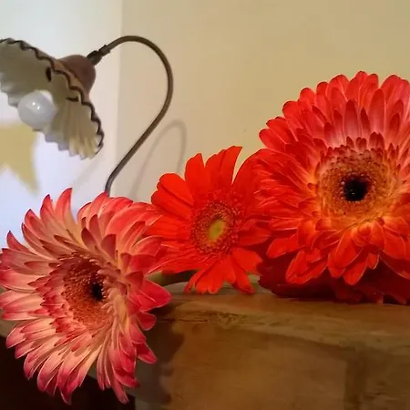 Agriturismo Rossococomero Offerta Ponte 2 Giugno! *