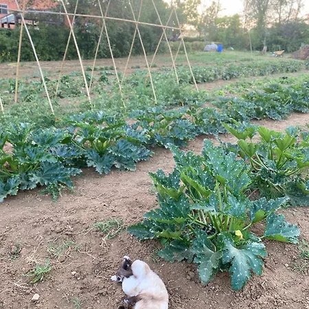 Séjour à la ferme Rossococomero Sirolo