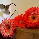 Rossococomero Primavera! *