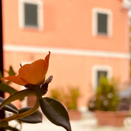 Rossococomero Primavera!
