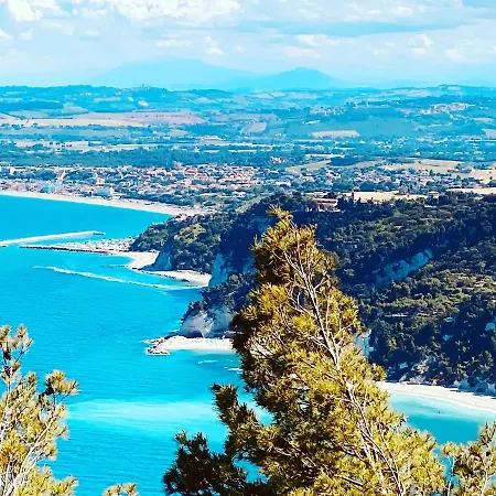 Rossococomero Primavera!