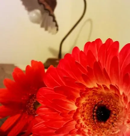 Rossococomero Agroturismo