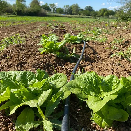 Vakantieboerderij Rossococomero *