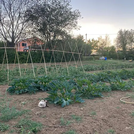 Rossococomero Sirolo